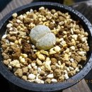 햇살한의원 이미지