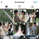 [W] 대구웨딩스냅 - 에이치투스냅 촬영 후기🤍 (대구 야외 스냅🌲)