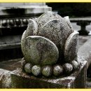 바로여기 이미지