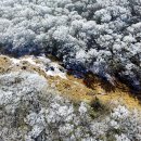 서쪽아이 이미지