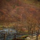 섬진강마실캠핑장 이미지