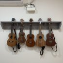 아마빌레음악학원 이미지