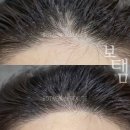 더보탬