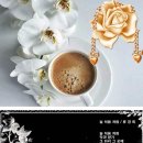 늘처음처럼 이미지