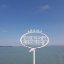 판포보름