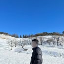 돌풍목장 이미지