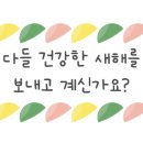 디지털문해교육사 이미지