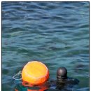 사계바당 이미지