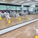 광명연세정도태권도장 이미지