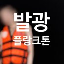 세부 모알보알 발광플랑크톤 현지 투어 후기 | 할인 카톡 예약 비용 픽드랍 준비물
