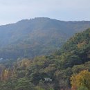 봉수산자연휴양림(수목원) 주차장 이미지