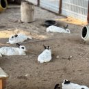 사상근린공원 이미지