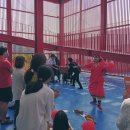 영월Y파크(술샘박물관) 이미지