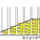 아이오딘화칼륨수용액과 질산납수용액의 반응(일정성분비의 법칙) 이미지