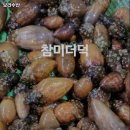 보라수산 부산 해운대 굴 추천