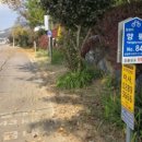 여주-0289 이미지