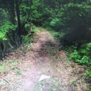 아란야공인중개사사무소 이미지