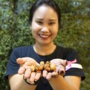 발루플레이스