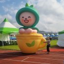 보성종합사회복지관 | 전남 보성 다청년 페스티벌 축제 탄소중립실천 후기