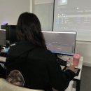 시네마영상비디오