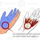 제주늘봄재활병원 이미지