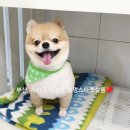 하단동174 이미지