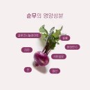 강화 순무. 팔아요!!!마감합니다 이미지