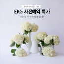 EKG 사전예약특가 이벤트[화이트 입고기념]