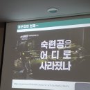 황소-유토피아 이미지