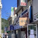 봉화 태백 여행 추천 | 백두대간협곡열차 가족여행 | V-TRAIN 예매방법, 꿀팁 | 분천역 ~ 철암역