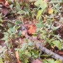 배암농장 이미지