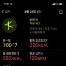제뉴어리피크닉