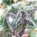 플로리스트(B) 이미지