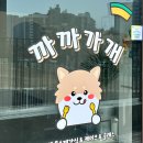 정쌤펫살롱 이미지