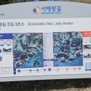 진성삼거리 이미지