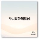 아즈펙토 | 카니발 하체 튜닝 후리기 방법과 비용 빠른 정보