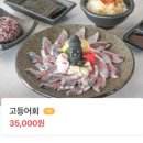 [제주/탑동 횟집] 고등어회 + 딱새우회 전문점 제주공항 근처 맛집 기회횟집 내돈내산 후기