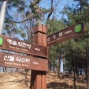 우면산7-2-2 이미지