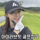 러브팬다 | ILF 아이러브핏 3D 천연양피골프장갑 2년 사용후기