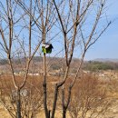 새들펜션민박 이미지