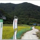 더파란 민박 이미지