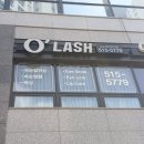 오래쉬(OLASH) | 광주 속눈썹 연장 첨단 오래쉬에서 내츄럴한 눈매 찾았어요