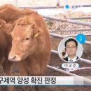 양선농장 이미지