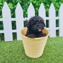 품안농장 이미지