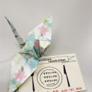 세븐일레븐 이태원중앙점 | [2025 한일교류 방일대학생단] #2 후쿠오카 대학 방문 및 뒤풀이