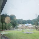 성주경찰서 공중화장실 | 아이와함께 가기좋은 카페 추천드려요 성주대구근교