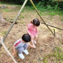 배화어린이집 이미지