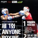 팀드래곤복싱 새솔점 이미지