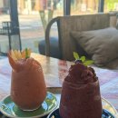 카페플러그ㅣ솔직후기/음료 맛있음 / 자두스무디, 블루베리 요거트 스무디, 아이스크림브라우니 / 내돈내산