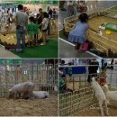 (주)그린팜 마트 | 일산 킨텍스 전시회 제2회 친환경 농축산식품 페스티벌 방문후기